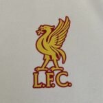 LVP  sweater - Image 6