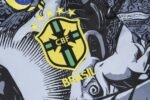 Adult / Kids Brazil 24/25 training SUIT - Image 5