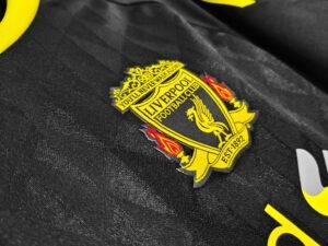 Retro LVP 2010-11 Third - Image 4