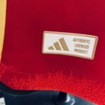 Player Version Camsia Spain 24/25 Home Red - Image 9