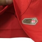 Retro LVP 2004-05 Home Final - Image 5