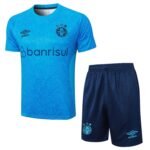 Shorts Sleeves 2024-25 Grêmio Training Suit