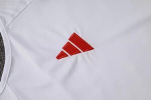 SC Internacional Sleeveless training suit - Image 6