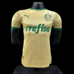 Player Version  Palmeiras 24/25 Third