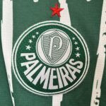 Masculina  Palmeiras 25/26 Special Green - Image 3