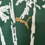 Masculina  Palmeiras 25/26 Special Green - Image 5