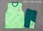 Palmeiras Sleeveless Training suit - Image 3