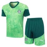 Shorts Sleeves Palmeiras Training Suit