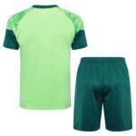 Shorts Sleeves Palmeiras Training Suit - Image 2