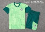 Shorts Sleeves Palmeiras Training Suit - Image 3