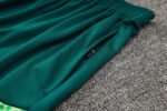 Shorts Sleeves Palmeiras Training Suit - Image 4