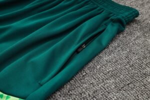 Shorts Sleeves Palmeiras Training Suit - Image 4