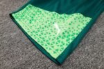 Shorts Sleeves Palmeiras Training Suit - Image 5