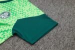 Shorts Sleeves Palmeiras Training Suit - Image 9
