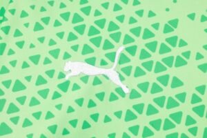 Shorts Sleeves Palmeiras Training Suit - Image 10