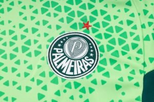 Shorts Sleeves Palmeiras Training Suit - Image 11
