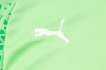 Palmeiras Half Zipper Training Suit B851 - Image 6