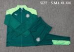 Palmeiras Full Zipper Training Suit A742 - Image 3