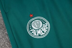 Palmeiras Full Zipper Training Suit A742 - Image 13