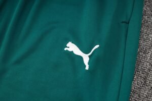 Palmeiras Full Zipper Training Suit A742 - Image 14