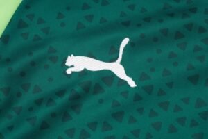 Palmeiras Half Zipper Training Suit B850 - Image 5