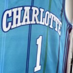 24 Season Hornets Blue Edition No.1 Ball - Image 9