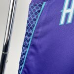 23 Season Hornets Flyer Edition No.1 Ball - Image 9