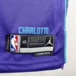 23 Season Hornets Flyer Edition No.1 Ball - Image 10