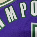 23 Season Milwaukee Bucks Purple  No.34 - Image 9