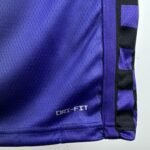 24 SEASON SACRAMENTO KINGS FLYER  #8 Lavine - Image 7