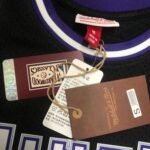 MN Heat Press Retro: Sacramento Kings 01 Season Blue No.10 BIBBY - Image 7