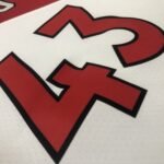 23 Season Toronto Raptors Home White  No.43 Siakam - Image 7