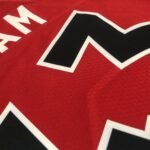 23 Season Toronto Raptors Away Red  No.43 Siakam - Image 5