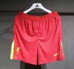 Player Version Shorts 2024-25 LVP home
