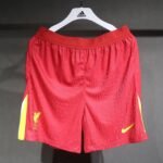 Player Version Shorts 2024-25 LVP home