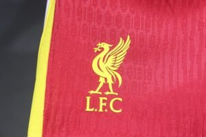 Player Version Shorts 2024-25 LVP home - Image 3