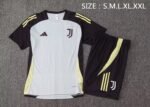 Juventus Short Sleeves Training Suit D1284 - Image 9
