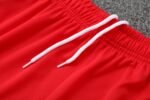 Bayern München 25/26 Short Sleeves Training suit Red - Image 7
