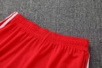 Bayern München 25/26 Short Sleeves Training suit Red - Image 9