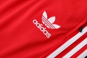 Bayern München 25/26 Short Sleeves Training suit Red - Image 11