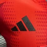 Player Bayern 24/25 Home  Size S-XXL - Image 5