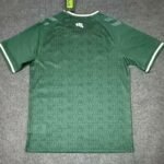 SV Werder Bremen 2526 Special  S-4XL - Image 2