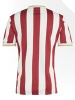 Sondertrikot 125 Jahre FCN Nürnberg S-4XL - Image 2