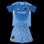 Los Angeles Galaxy 25/26 Goalkeeper S-XXL