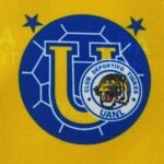 Retro Tigres 1995/96 Home Long Sleeves S-3XL - Image 4