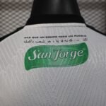 Player Version Palestino Deportivo 25/26 Home  S-XXL - Image 7