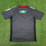 Palestino Deportivo 25/26 Away  S-XXL - Image 2