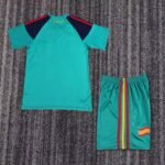 Kids Retro Kit Spain 2010 Goalkeeper - Image 2