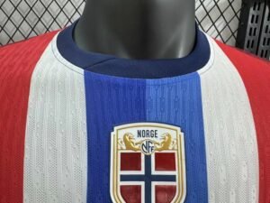 Player Version Norway 2024/25 Home S-4XL - Image 3