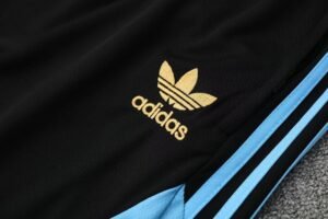 Argentina 25/26 Short Sleeves Training suit - Image 4